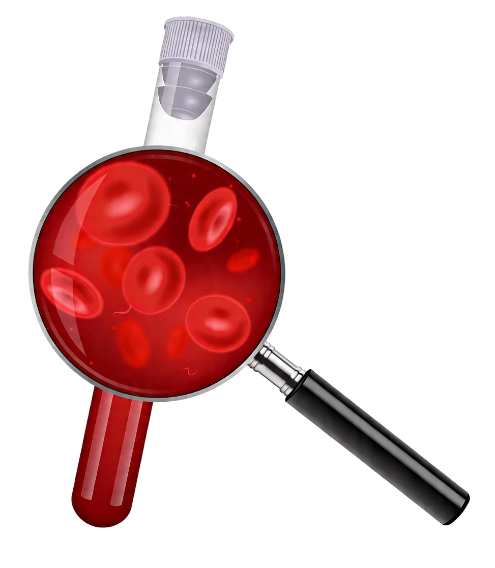 Magnifying glass showing red blood cells