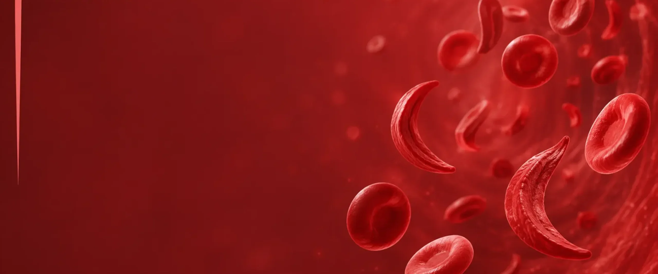 Types of anemia
