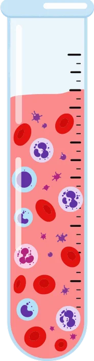 Test tube
